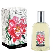 Pivoine Intense