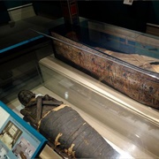 The Mummy Ankhefenmut
