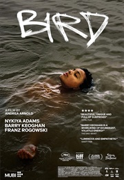Bird (2024)