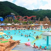 Vivaldi Park Ocean World, Gangwon-Do, South Korea