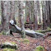 Wellington Avalanche Site
