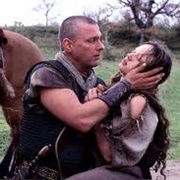 An Owl in a Thornbush