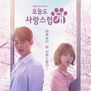 A Good Day to Be a Dog (2023)