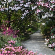 Trengwainton Garden, Cornwall