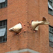 Transcendence Salmon, USA