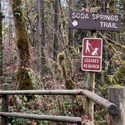 Cascadia Soda Springs