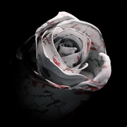 Romantic Homicide - D4VD