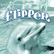 Flipper Season 2
