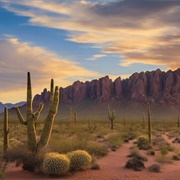 Tonto National Forest, Arizona