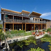 Urban Ecology Center