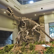 Zigong Dinosaur Museum