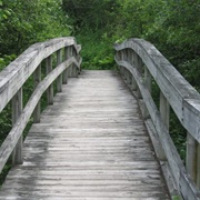 Robert Frost Interpretive Trail