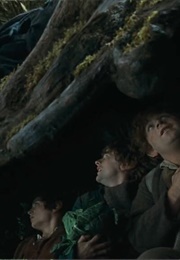 Under a Tree - The Lord of the Rings: The Fellowship of the Ring (2001)