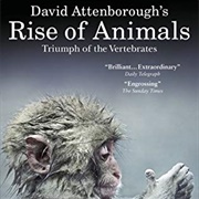 David Attenborough's Rise of Animals: Triumph of the Vertebrates
