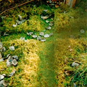 Eisenberg Lawn Cross