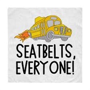Seatbelts Everyone