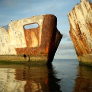 Kiptopeke's Concrete Fleet