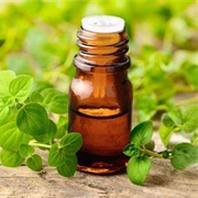 Oregano (Origanum) Oil