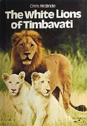 The Lions of Timbavati (Chris McBride)