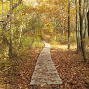 Neutaconkanut Hill Park