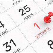 Plans to Look Forward To