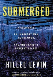 Submerged (Hillel Levin)