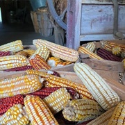 L.W. Paul Living History Museum