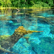 Syri I Kalter: The Blue Eye