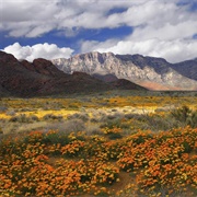 Hike the Franklin Mountains
