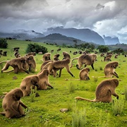 Simien Mountains, Ethiopia