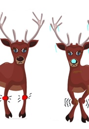 Help Wanted (Timothy Tocher)