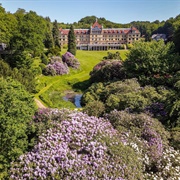Kurvejene Ved Det Gamle Sanatorium