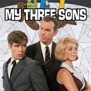 My Three Sons Season 8