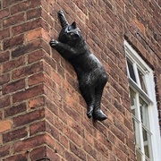 Cat Statues of York