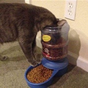 I Like New Eating Experiences