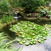 Rodef Shalom Biblical Botanical Garden