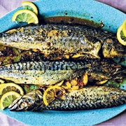 Atlantic Spanish MacKerel