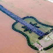 Pedro Martín Ureta's Forest Guitar
