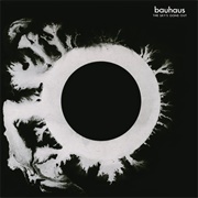 Bauhaus - The Sky's Gone Out (1982)