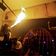 Casa Animal, Bocas Town Panama