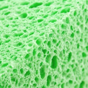 Close-Up of a Sponge