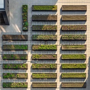 Rooftop Farm at the Essex