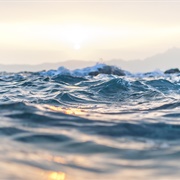 Hydrophobia - The Fear of Water