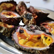 Grooved Sea Squirt (Microcosmus Sabatieri)