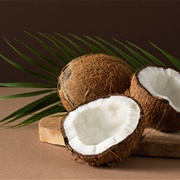 Coconut