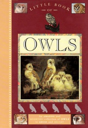 Little Book of Owls (Weidenfeld and Nicolson Ltd)