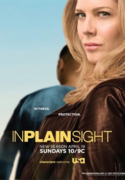 In Plain Sight (2008)
