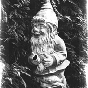 Gnomes