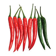Finger Chillies (Demon F1)