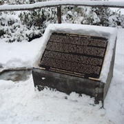 'Sin Palabras' ('Speechless')